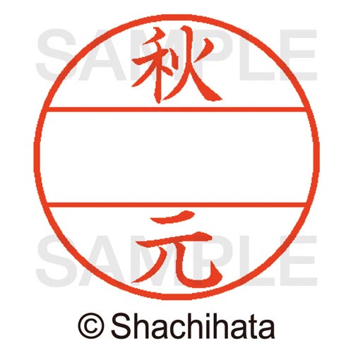 データーネームEX15号 マスター部 既製 秋元