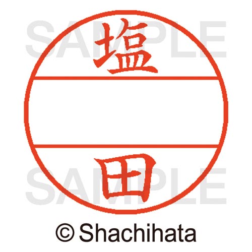 データーネームEX15号 マスター部 既製 塩田