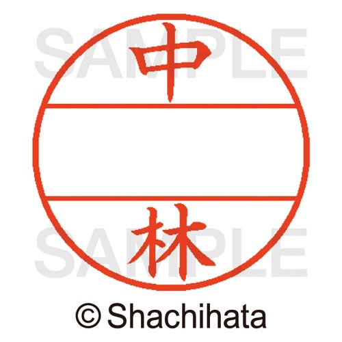 データーネームEX15号 マスター部 既製 中林