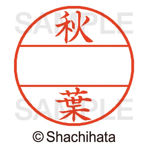 データーネームEX15号 マスター部 既製 秋葉