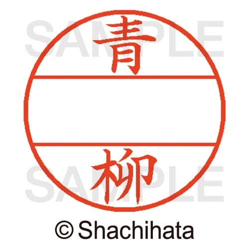 データーネームEX15号 マスター部 既製 青柳