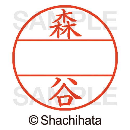 データーネームEX15号 マスター部 既製 森谷