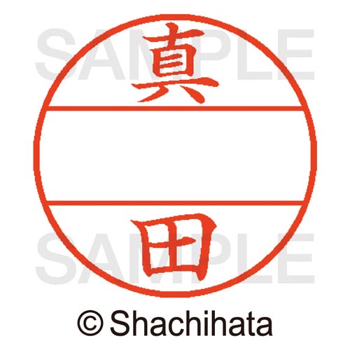 データーネームEX15号 マスター部 既製 真田