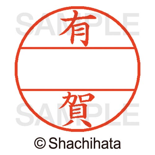 データーネームEX15号 マスター部 既製 有賀