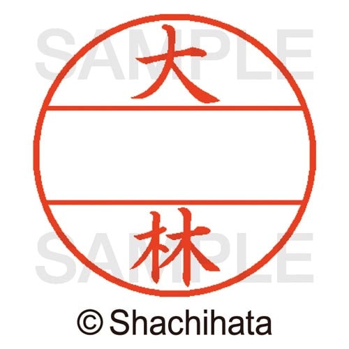 データーネームEX15号 マスター部 既製 大林