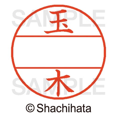 データーネームEX15号 マスター部 既製 玉木