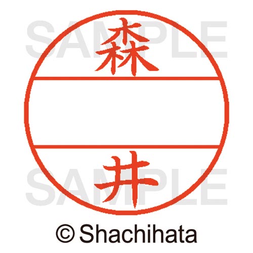 データーネームEX15号 マスター部 既製 森井