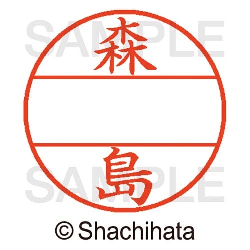 データーネームEX15号 マスター部 既製 森島