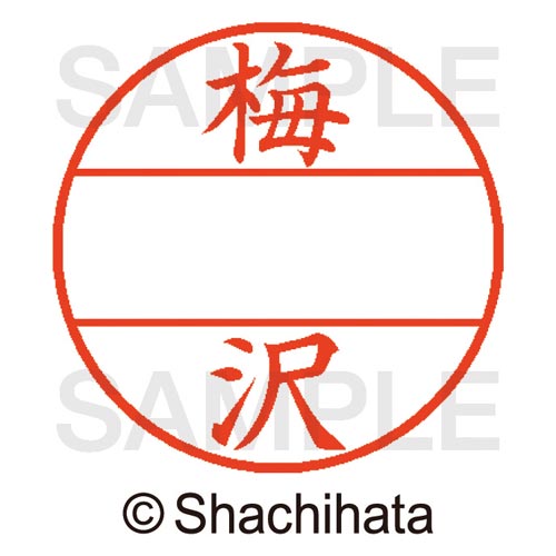 データーネームEX15号 マスター部 既製 梅沢