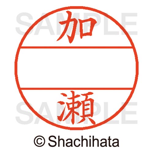 データーネームEX15号 マスター部 既製 加瀬