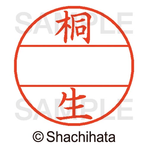 データーネームEX15号 マスター部 既製 桐生