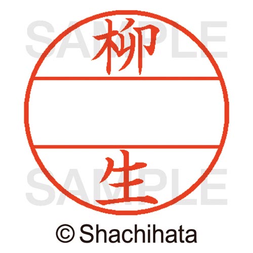 データーネームEX15号 マスター部 既製 柳生