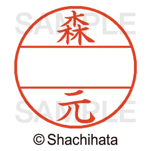 データーネームEX15号 マスター部 既製 森元