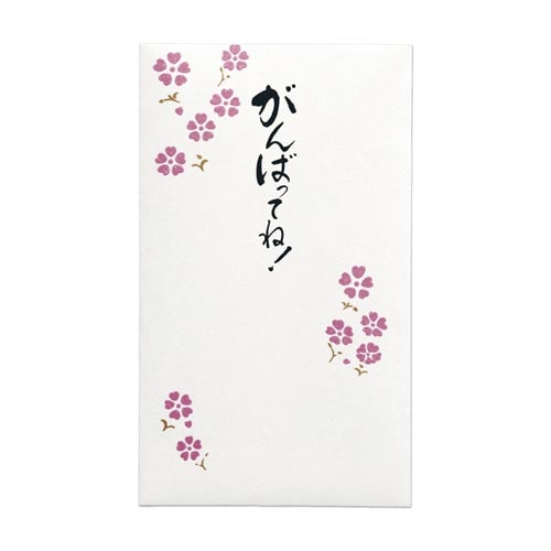 祝儀袋 ことのは ぽち袋 がんばってね3枚入×10
