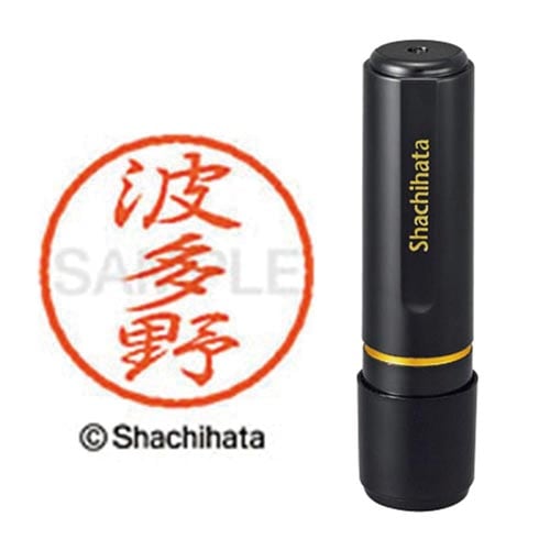 ブラック8 既製 波多野