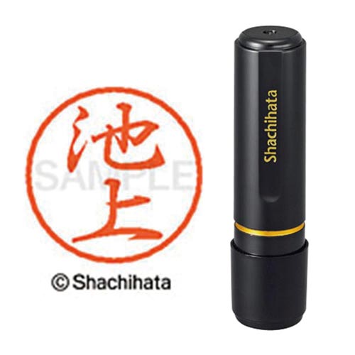 ブラック8 既製 池上