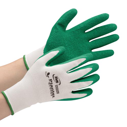 プランテックスグローブ 天然ゴム背抜き M