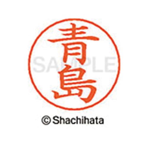 ネームペン用ネーム シルバー 既製 青島