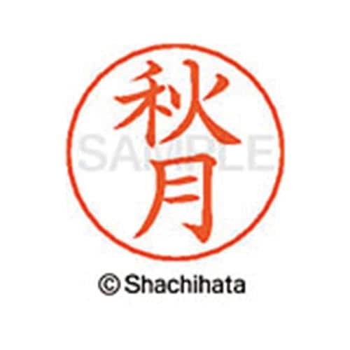 ネームペン用ネーム シルバー 既製 秋月