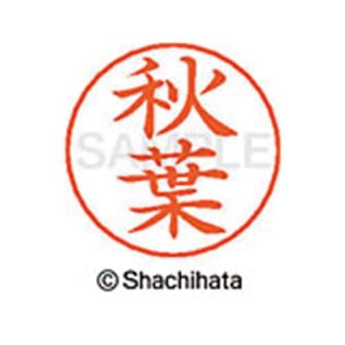 ネームペン用ネーム シルバー 既製 秋葉