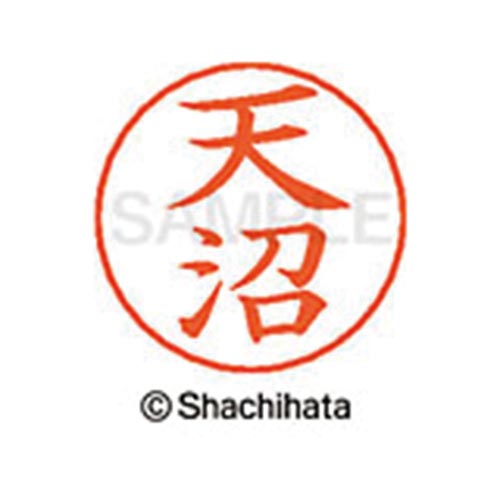 ネームペン用ネーム シルバー 既製 天沼