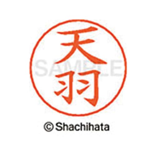 ネームペン用ネーム シルバー 既製 天羽