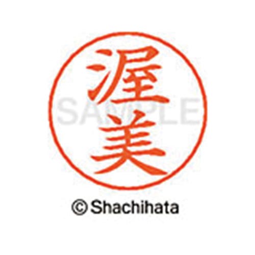 ネームペン用ネーム シルバー 既製 渥美