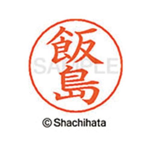 ネームペン用ネーム シルバー 既製 飯島