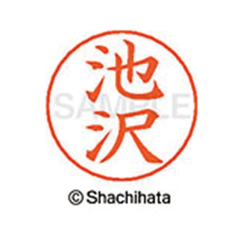 ネームペン用ネーム シルバー 既製 池沢