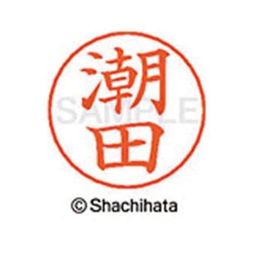ネームペン用ネーム シルバー 既製 潮田