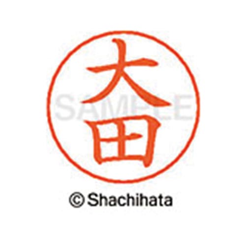 ネームペン用ネーム シルバー 既製 大田