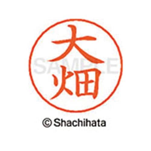 ネームペン用ネーム シルバー 既製 大畑