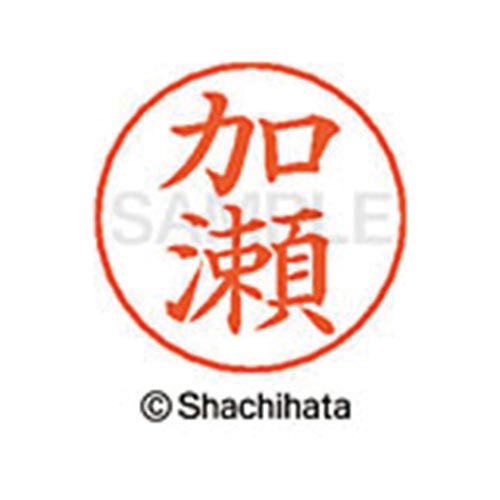 ネームペン用ネーム シルバー 既製 加瀬