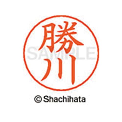 ネームペン用ネーム シルバー 既製 勝川