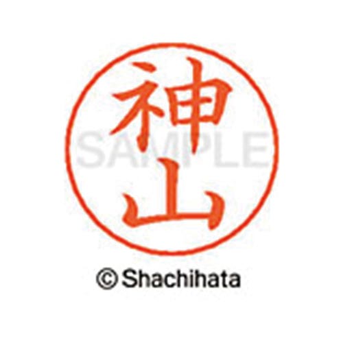 ネームペン用ネーム シルバー 既製 神山