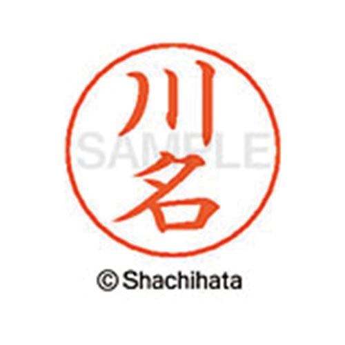 ネームペン用ネーム シルバー 既製 川名