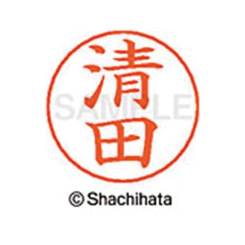 ネームペン用ネーム シルバー 既製 清田