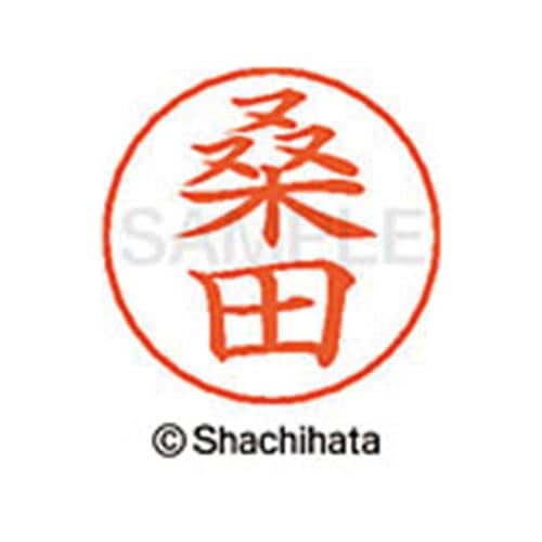 ネームペン用ネーム シルバー 既製 桑田