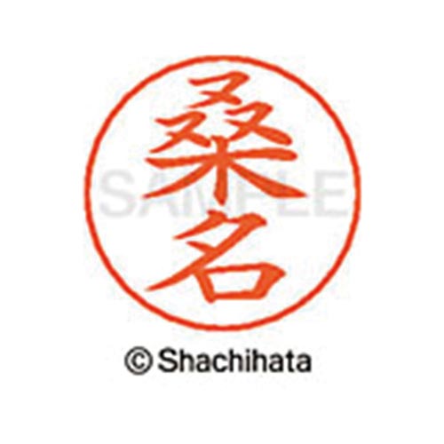 ネームペン用ネーム シルバー 既製 桑名