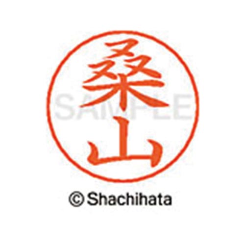 ネームペン用ネーム シルバー 既製 桑山