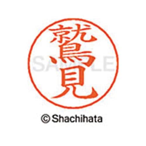 ネームペン用ネーム シルバー 既製 鷲見