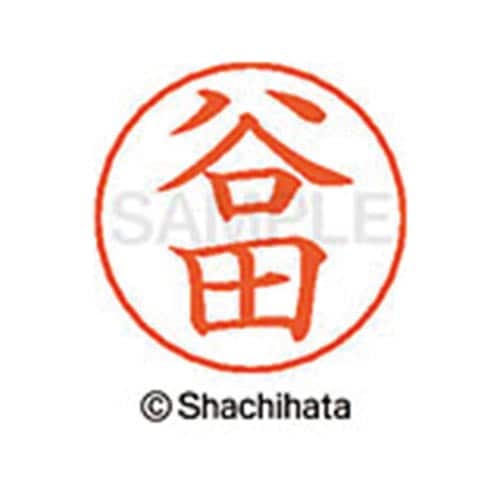 ネームペン用ネーム シルバー 既製 谷田