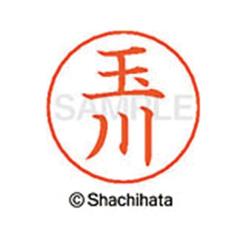 ネームペン用ネーム シルバー 既製 玉川