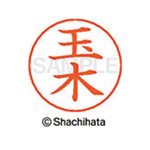ネームペン用ネーム シルバー 既製 玉木