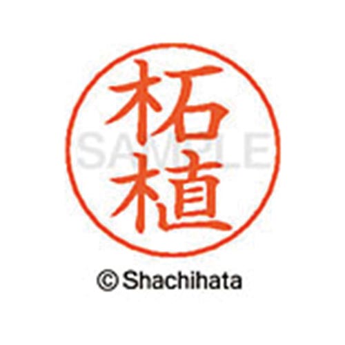 ネームペン用ネーム シルバー 既製 柘植