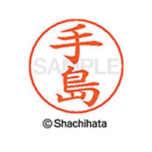 ネームペン用ネーム シルバー 既製 手島