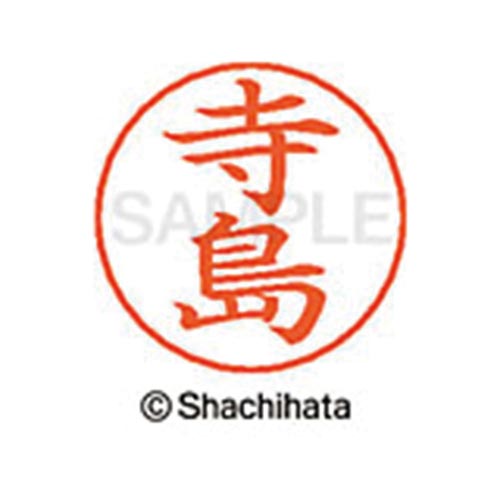 ネームペン用ネーム シルバー 既製 寺島