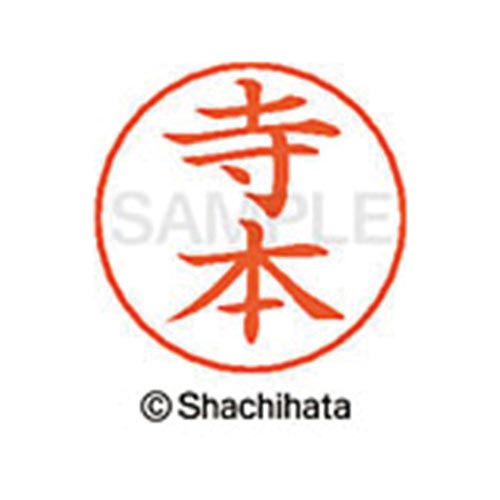 ネームペン用ネーム シルバー 既製 寺本