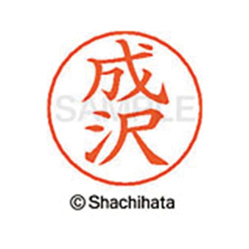 ネームペン用ネーム シルバー 既製 成沢