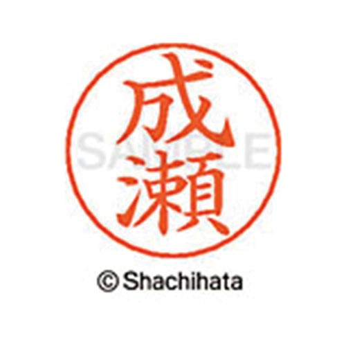 ネームペン用ネーム シルバー 既製 成瀬
